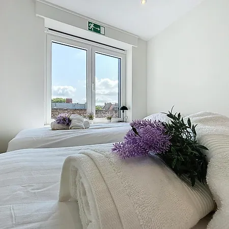 Flat Ma Colombe - Oyat & Hirondelle